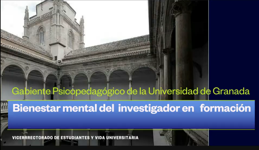 Enlace al vídeo